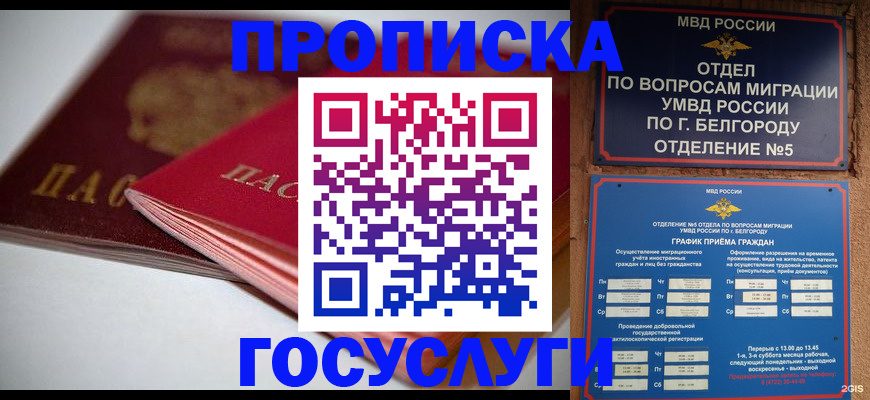 временная регистрация собственник в Павлово